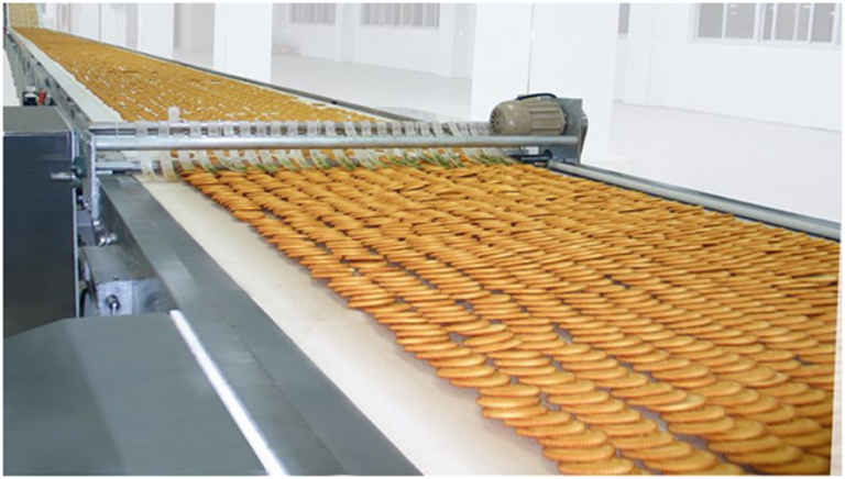 Packing Conveyer Belt